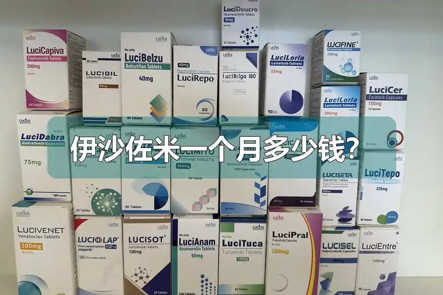 伊沙佐米一个月多少钱？